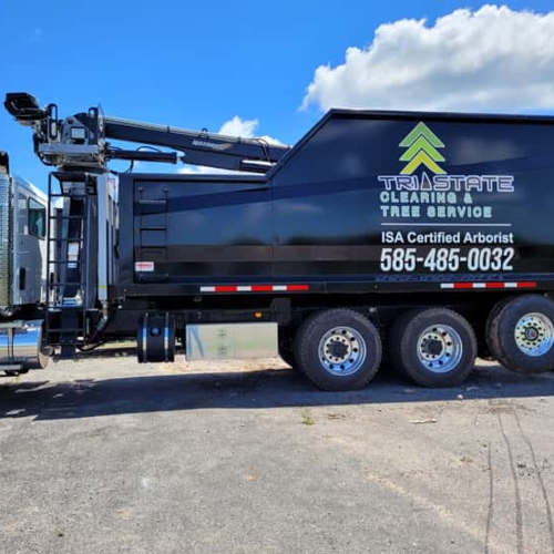Vehicle Graphics